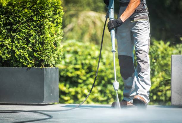 Best Residential House Exterior Washing  in Stanberry, MO